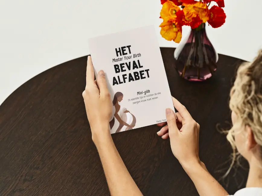 boekje.webp